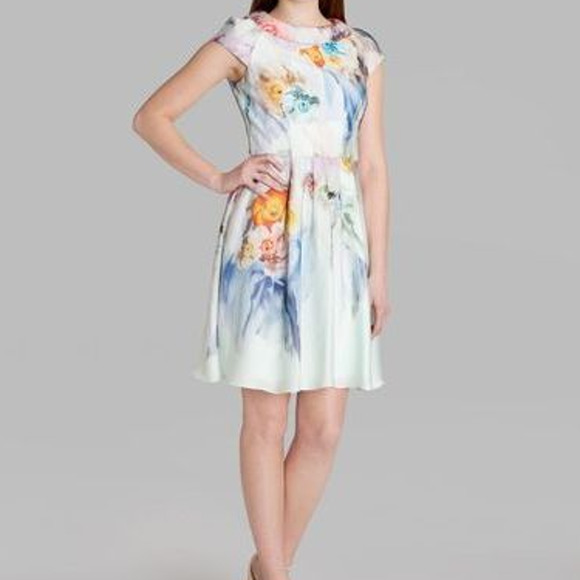 Ted Baker London Dresses & Skirts - Ted Baker Fieona Floral Fit Flare Dress, 4 (US 12)
